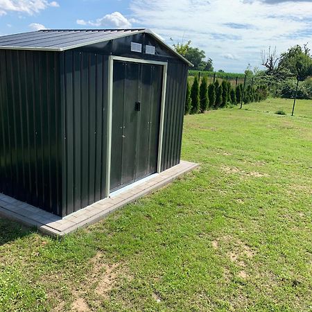 Ferienhaus Putzar 45 Boldekow المظهر الخارجي الصورة